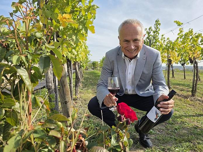 Das Bild zeigt den Geschäftsführer der Winzer Krems, Ludwig Holzer, hockend in einem herbstlichen Weingarten. Er hält eine Flasche Zweigelt Alkoholfrei in der Hand. Im Vordergrund ist ein blühender Rosenstrauch zu sehen