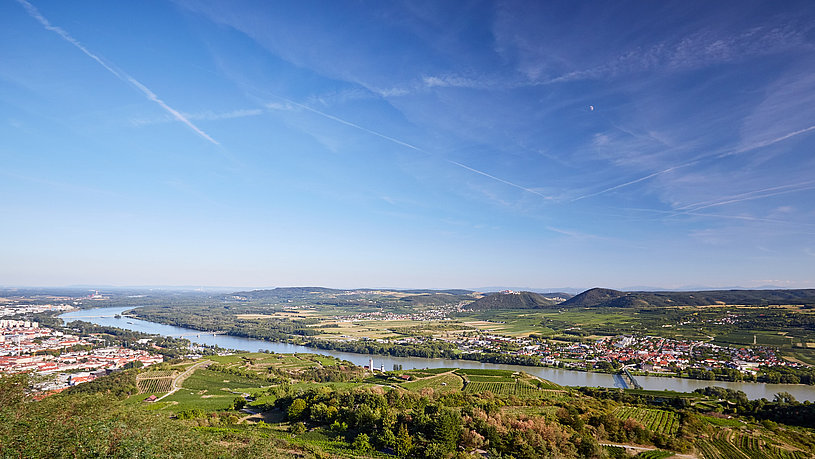 Die Weinstadt Krems an der Donau