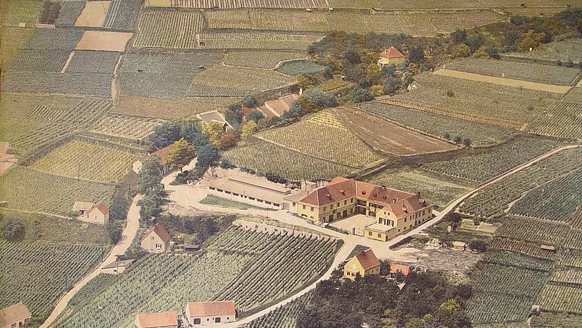 1961: The winery of WINZER KREMS in 1961