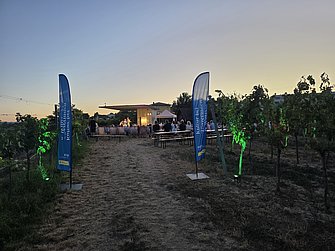 Das Bild zeigt ein open air Konzert der Gruppe Stubenfliege im Weingarten über dem Vinothekkeller Bründlgraben der WINZER KREMS. Es wurde in der Abenddämmerung fotografiert. Im Vordergrund sind zwei Beachflags mit der Aufschrift "Kultur bei Winzerinnen und Winzern." Einige Weinstöcke sind mit grünem Licht stimmungsvoll beleuchtet. 